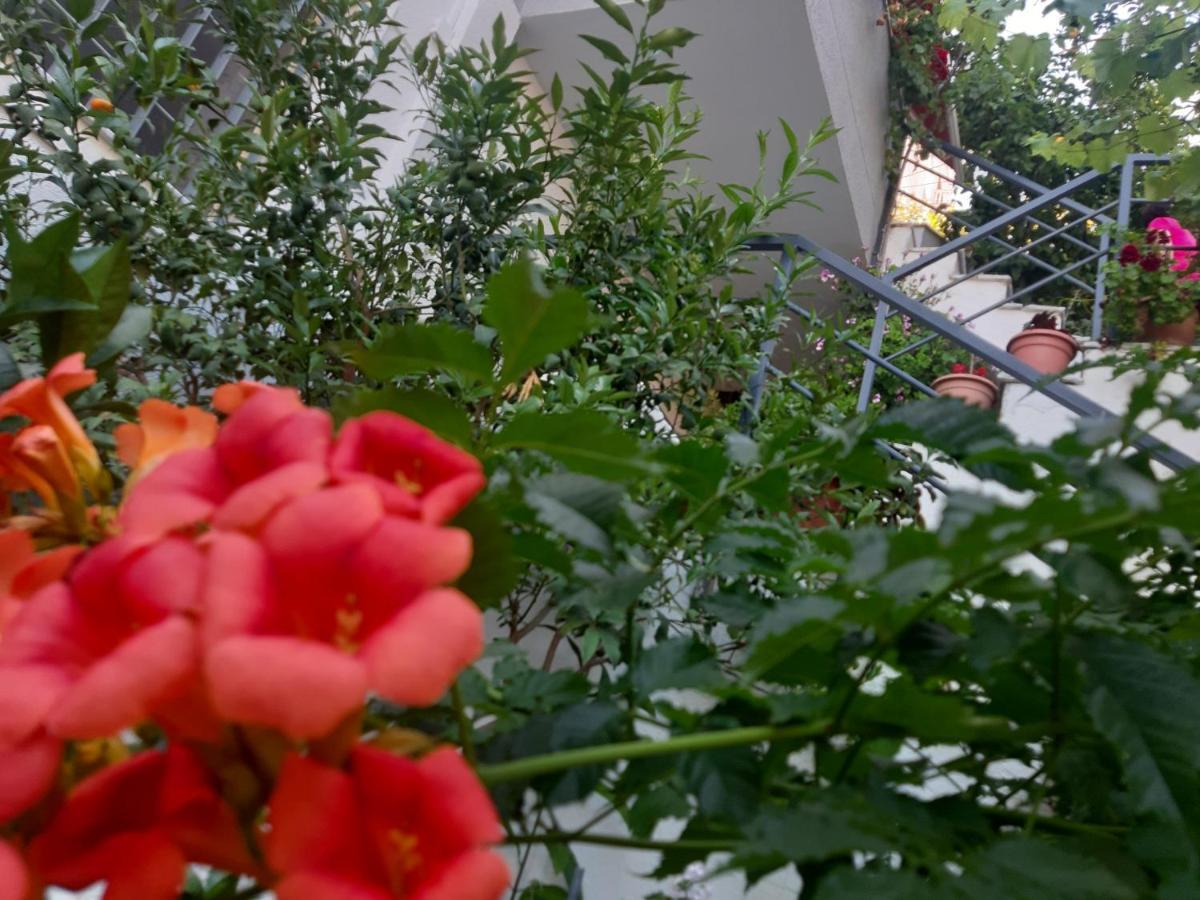 Mane Apartments Sarande Luaran gambar